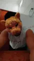 VIP Henrique Campinas Masturbating