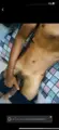 garota de programa de Campinas Henrique Baiano Sexo oral com preservativo
