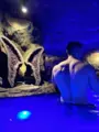 garota de programa de Campinas Apolo Massagem tântrica