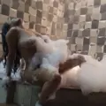 acompanhantes de Campinas Helô Eloisa Beijo na boca