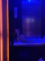 VIP Clara Bauer Curitiba Oral sex without a condom