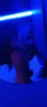 acompanhantes de Curitiba Rafaela Muack Sexo oral sem preservativo