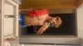 VIP Mek Lovers Goiania He uses erotic accessories