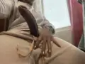 VIP KATY GABRIELLA Goiania Facefuck