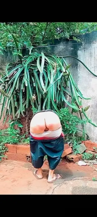 acompanhante Robert Prada Goiânia Beijo grego