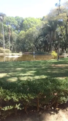 acompanhante Lukinha Marília 