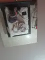 acompanhante Daiana Colombera Marília Permite filmagem