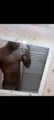Henrique massagem nuru Salvador 