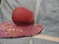 acompanhante de luxo Saquarema Estrela Uso de roupas de fantasia/uniformes