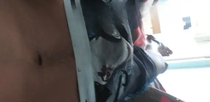 acompanhante de luxo Belo Horizonte Jhony Beijo na boca