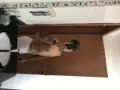 acompanhantes de Valparaíso de Goiás Rikoseijas Uso de roupas de fantasia/uniformes