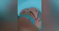garota de programa de Vilhena Luana Sexo vaginal com preservativo