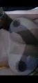 VIP Pérolamagrinha Xinguara Vaginal sex with condom