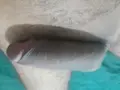 acompanhantes de Brasília Companhia Sexo anal com preservativo